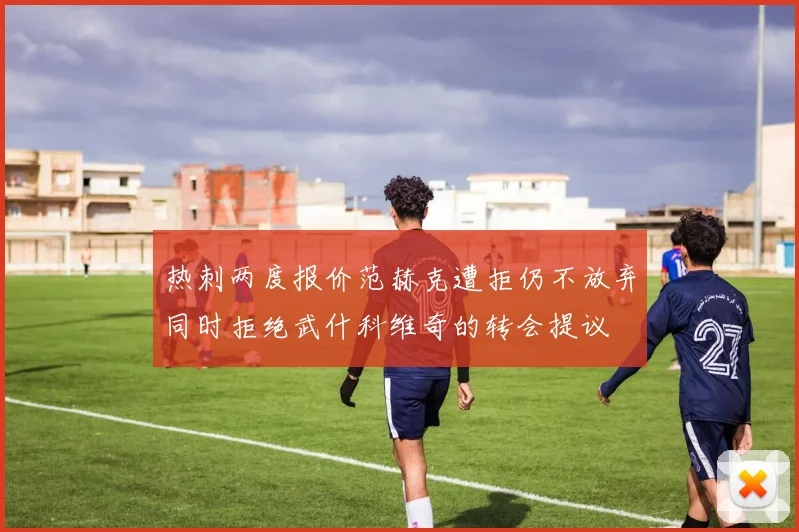 热刺两度报价范赫克遭拒仍不放弃同时拒绝武什科维奇的转会提议