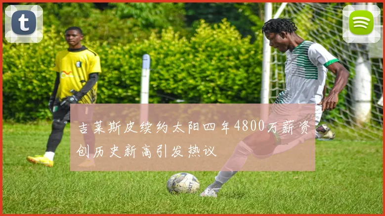 吉莱斯皮续约太阳四年4800万薪资创历史新高引发热议